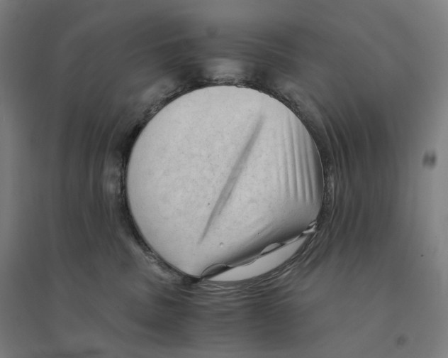 X0000094450379200712061206