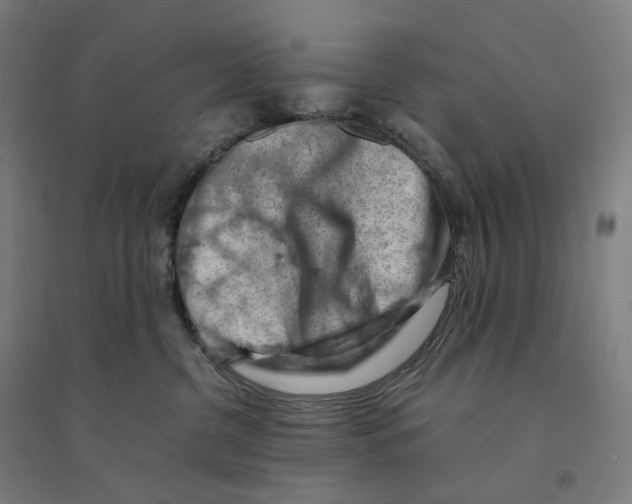 X0000094450380200712061206