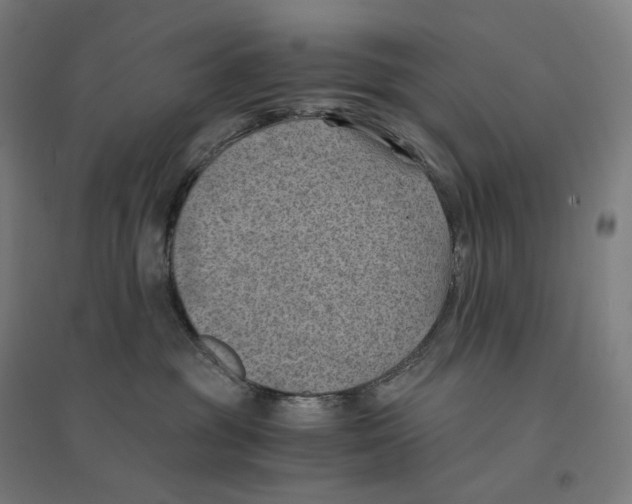 X0000094450381200712061206