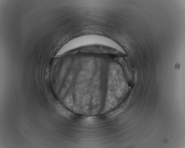 X0000094450382200712061206