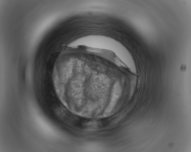 X0000094450383200712061206