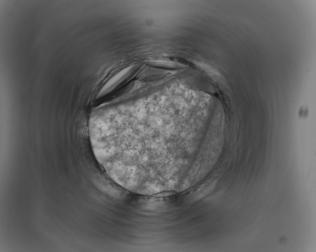 X0000094450384200712061206