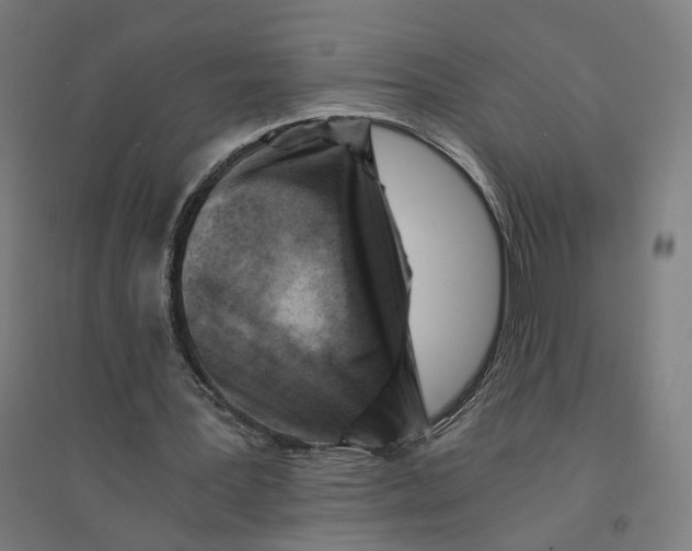 X0000094450387200712061205