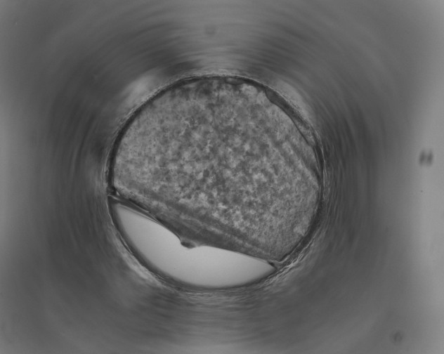 X0000094450389200712061205