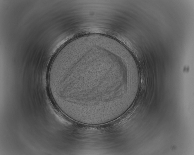 X0000094450390200712061205