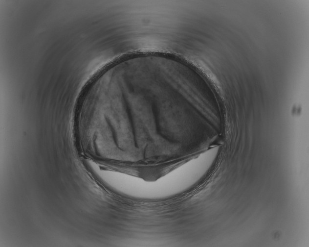 X0000094450391200712061205