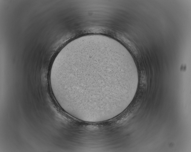 X0000094450394200712061205