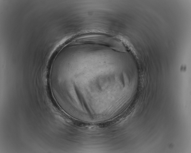 X0000094450395200712061205