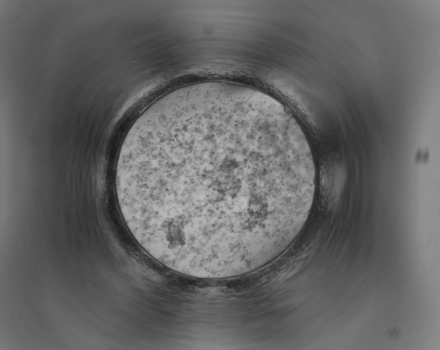 X0000094450396200712061205