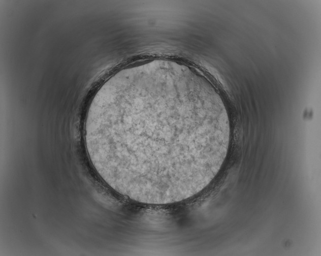 X0000094450403200712061205