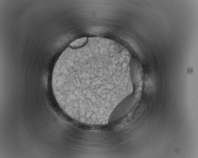 X0000094450404200712061205