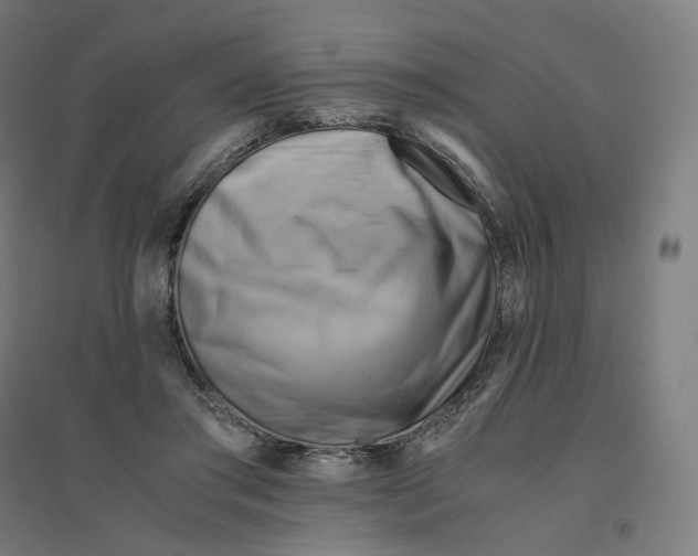 X0000094450405200712061205