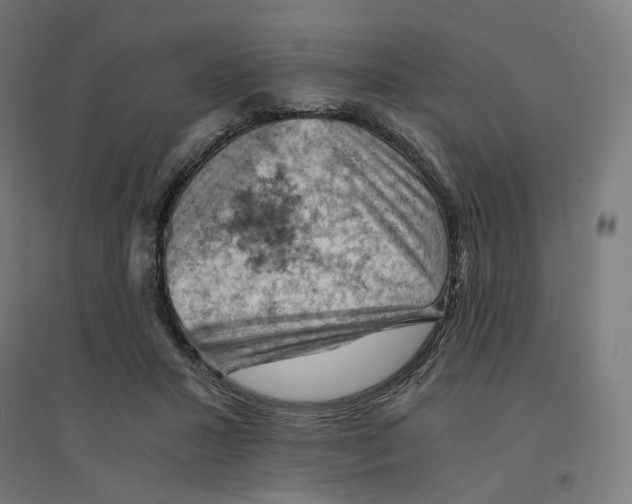 X0000094450407200712061205