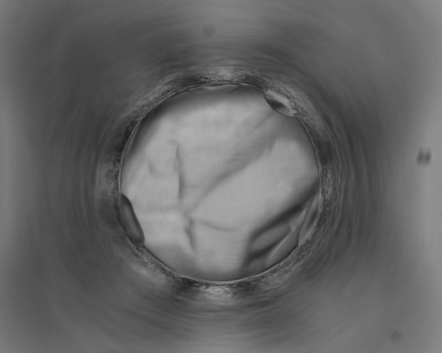 X0000094450409200712061204