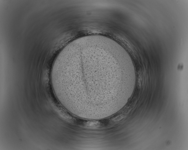 X0000094450410200712061204