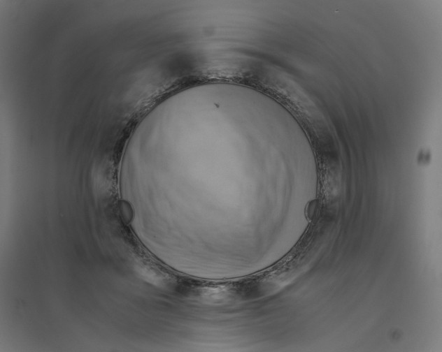 X0000094450411200712061204