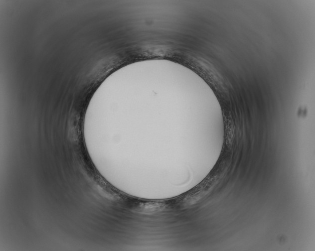 X0000094450414200712061204