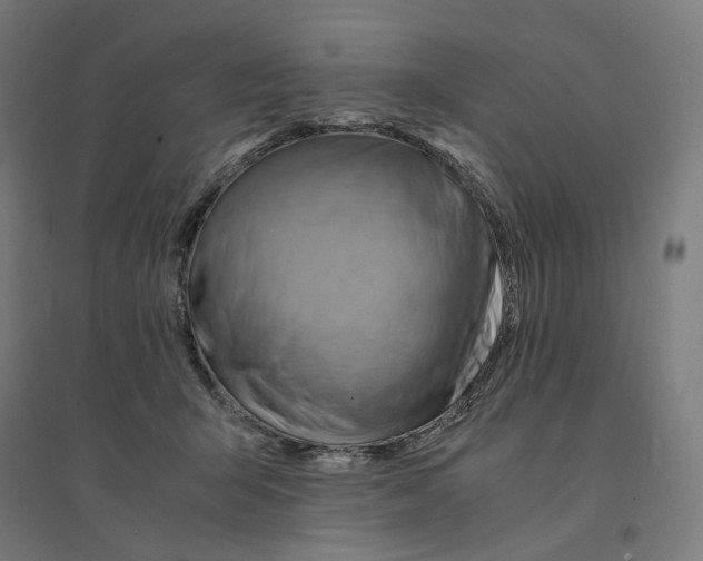 X0000094450415200712061204