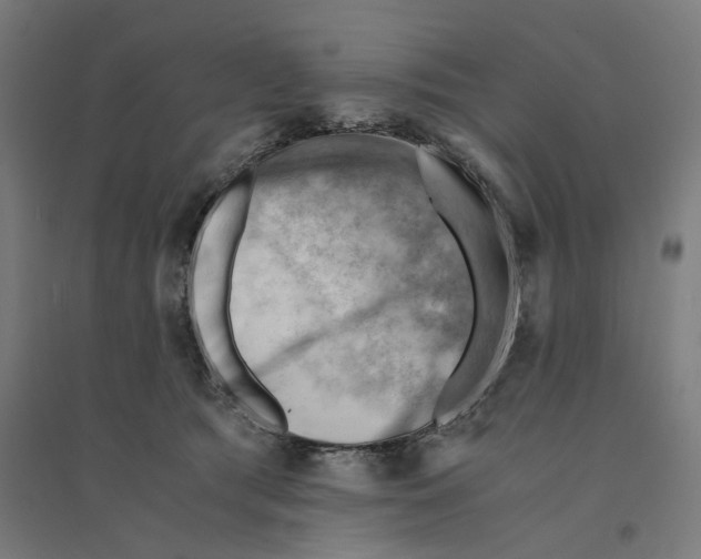 X0000094450417200712061204