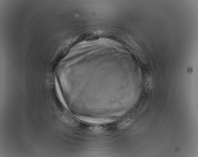 X0000094450419200712061204