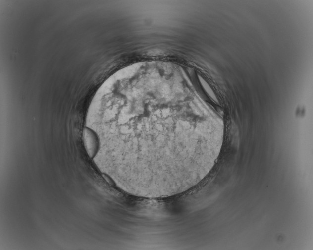 X0000094450421200712061204