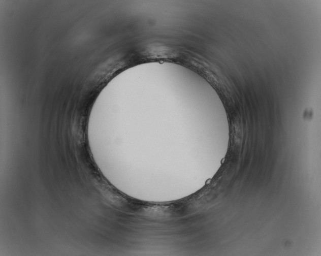 X0000094450422200712061204