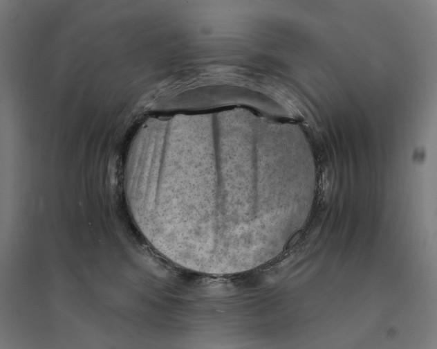 X0000094450424200712061204