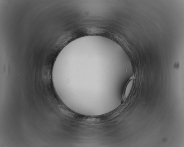 X0000094450426200712061204