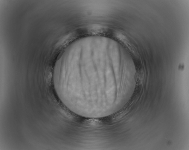 X0000094450427200712061204