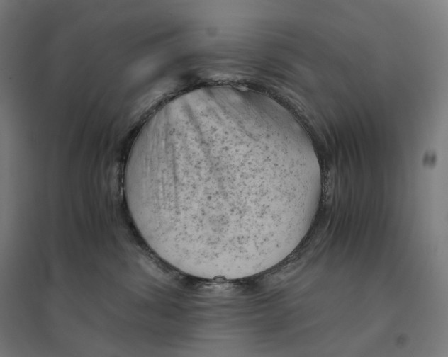 X0000094450428200712061204