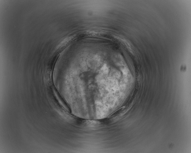 X0000094450429200712061204