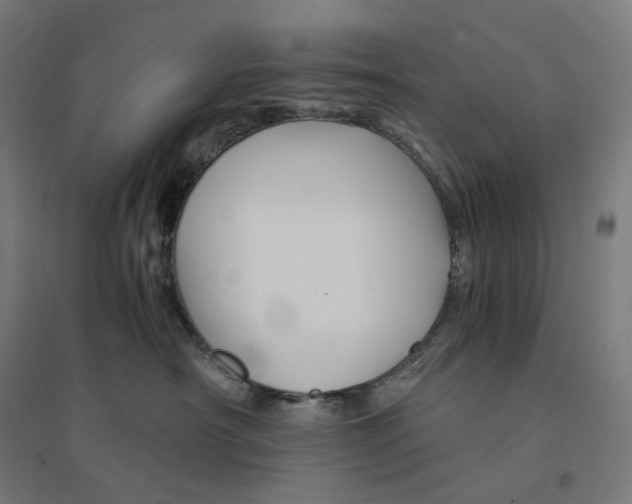 X0000094450430200712061204