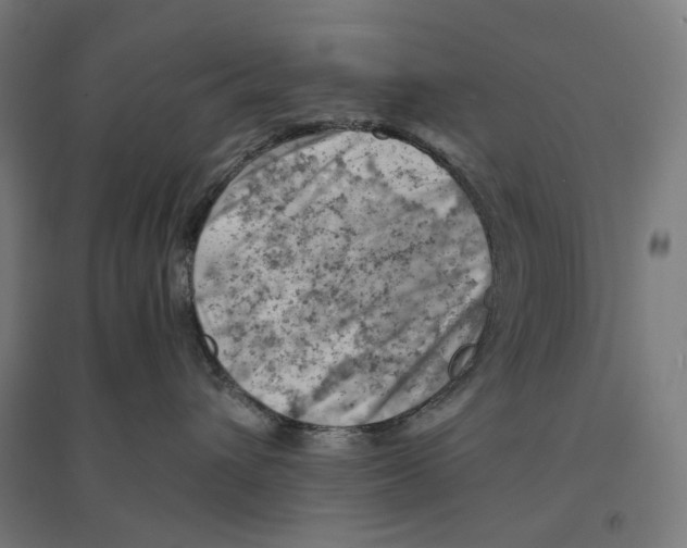 X0000094450432200712061204