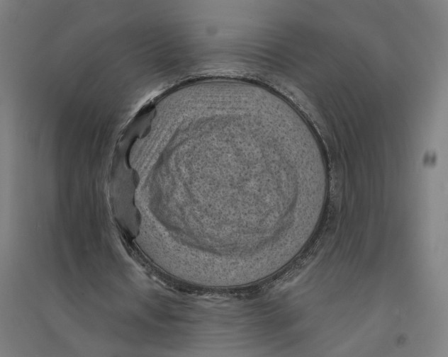 X0000094450434200712061204