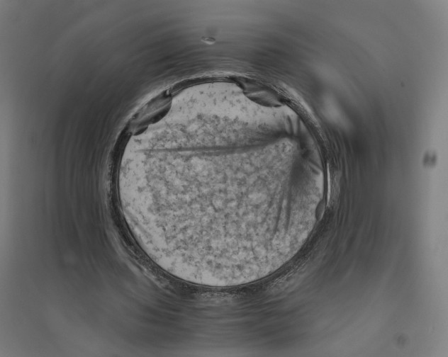 X0000094450435200712061204