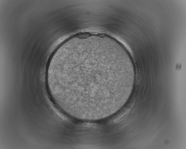 X0000094450437200712061204