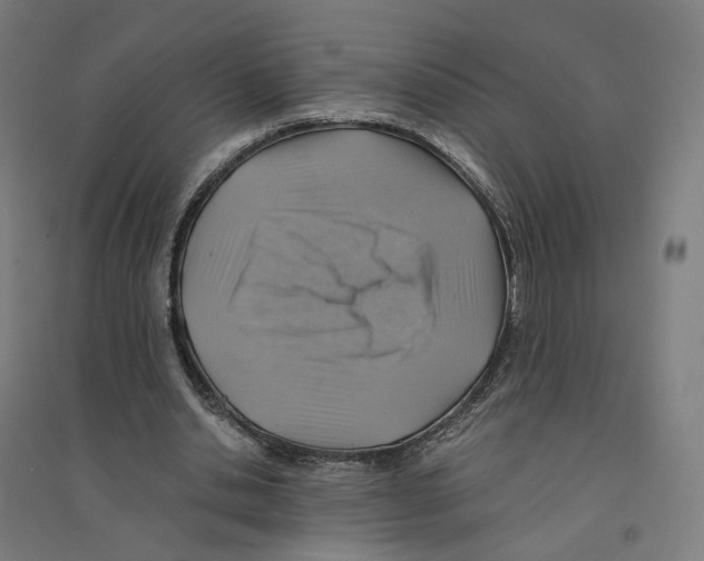 X0000094450438200712061204