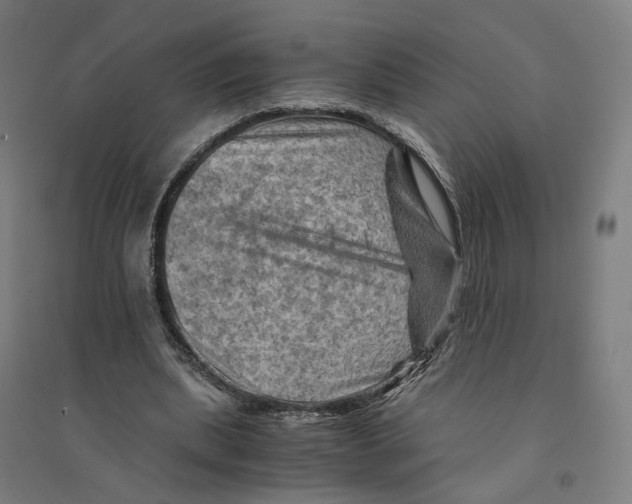 X0000094450439200712061204