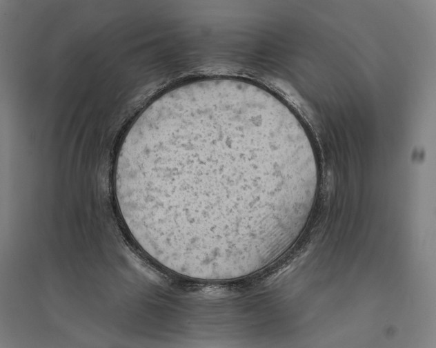 X0000094450441200712061204