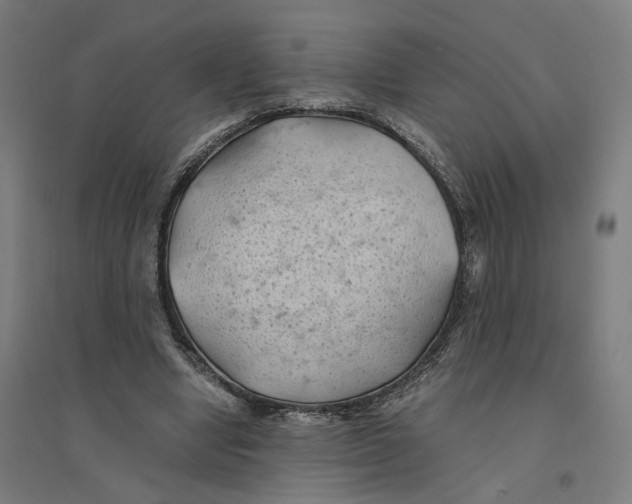 X0000094450442200712061204