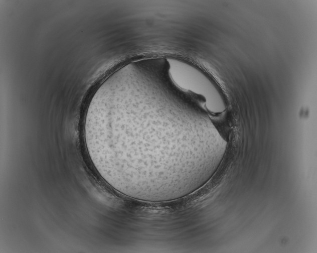 X0000094450443200712061204