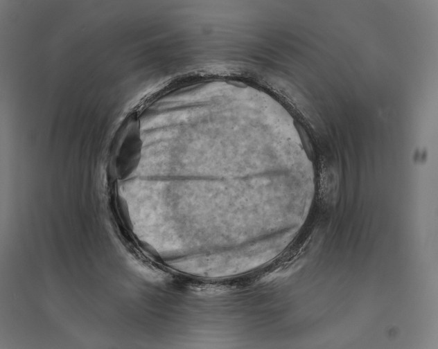 X0000094450444200712061204