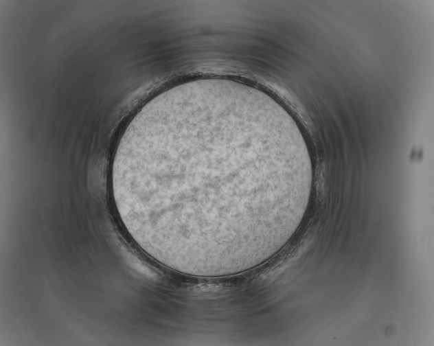 X0000094450445200712061204