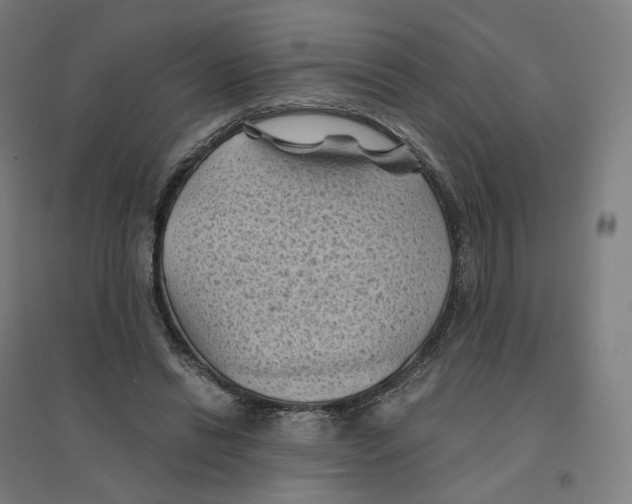 X0000094450446200712061204