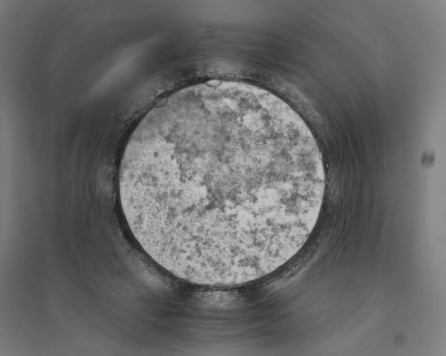 X0000094450449200712061204