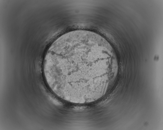 X0000094450450200712061204