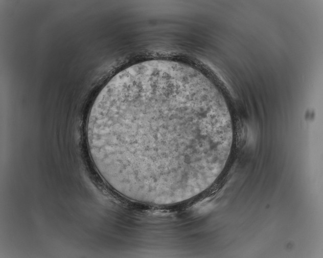 X0000094450451200712061204