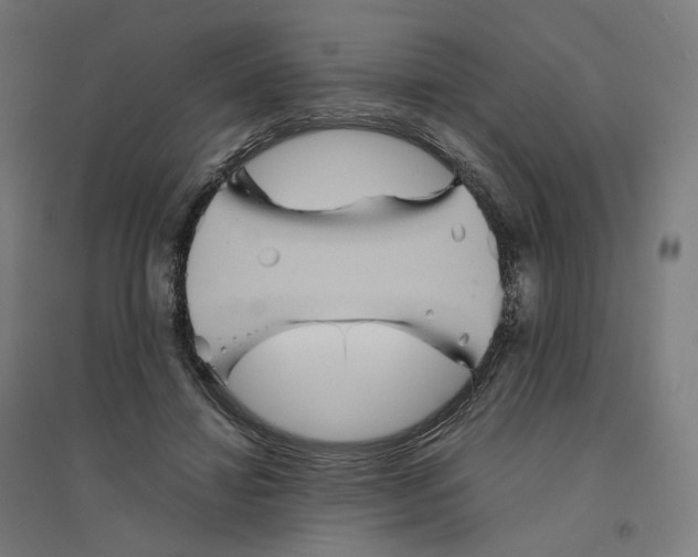 X0000094450452200712061204