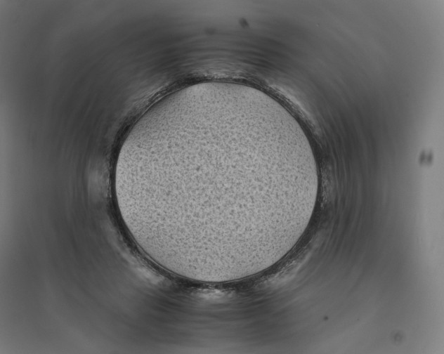 X0000094450453200712061204