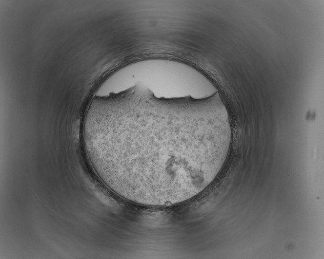 X0000094450454200712061204